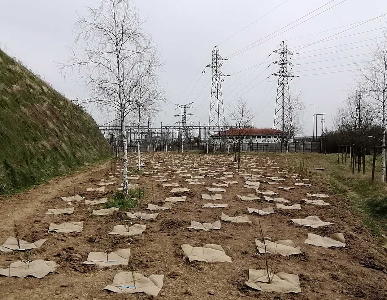 Bocaje - TotalEnergies Toul